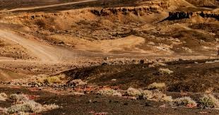 《仙境传说：爱如初见》“一周年庆典”开幕，致那些年我们追过的波利与青春！